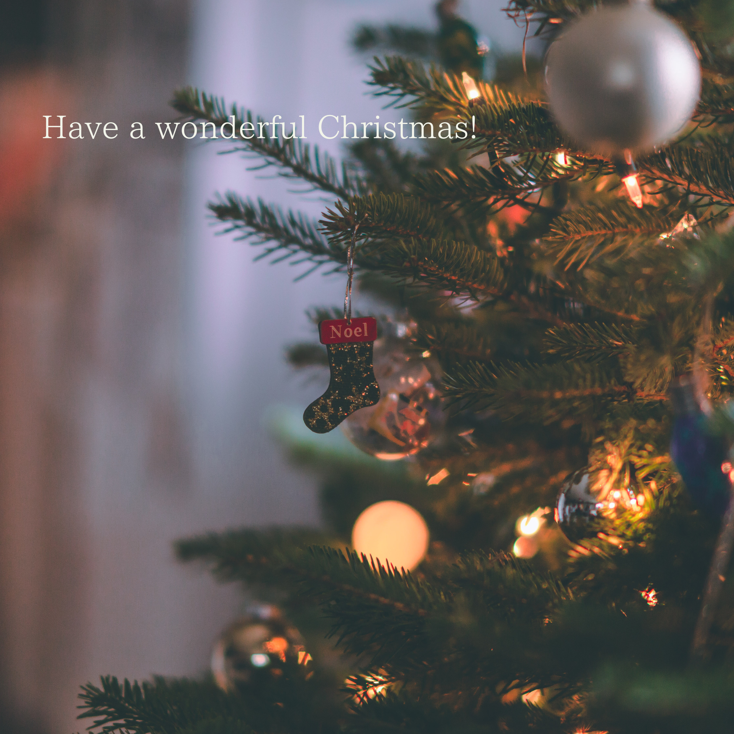 今年のクリスマスは、料理に合うワインで特別な夜を。