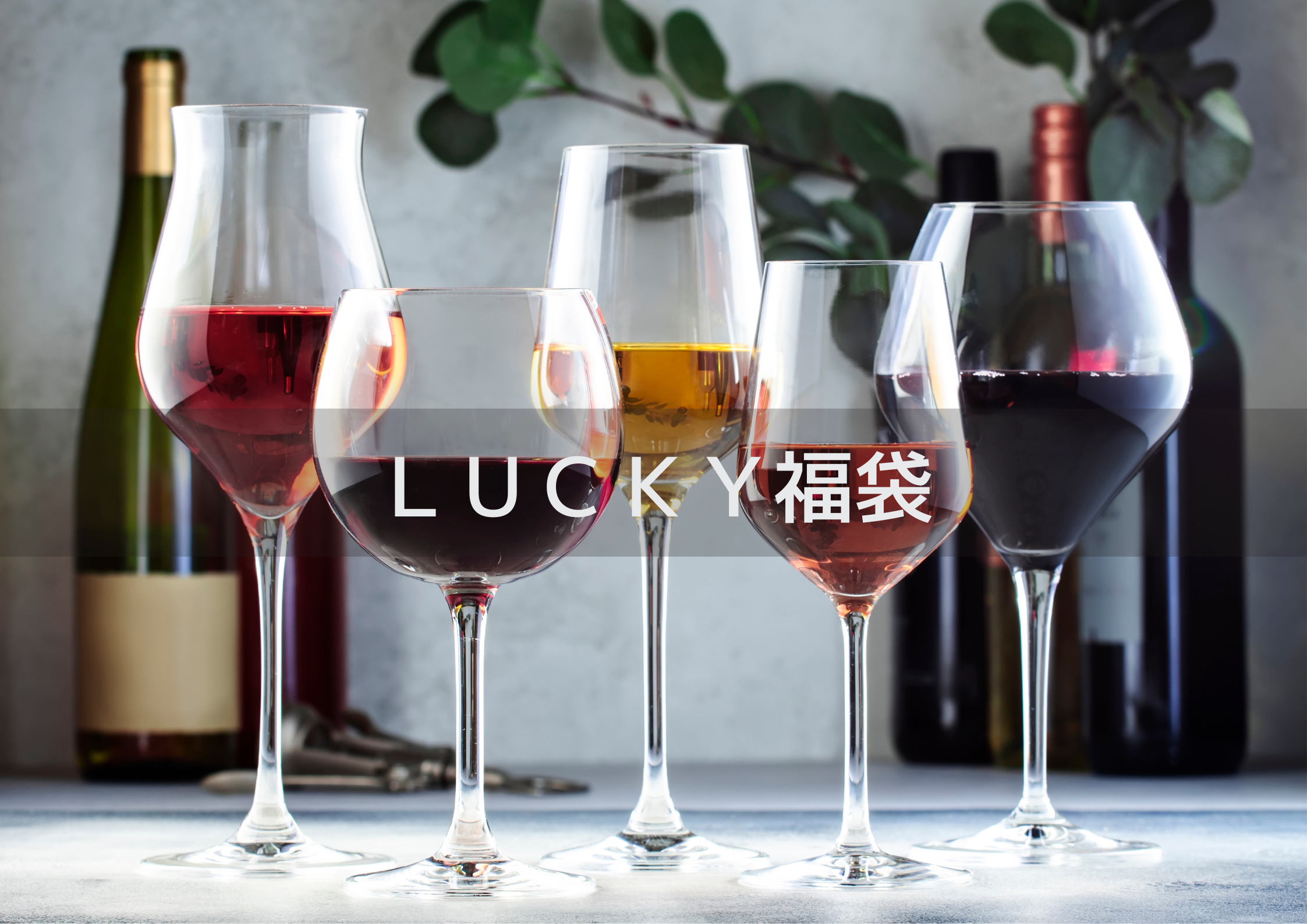 福袋！ワイン６本セット