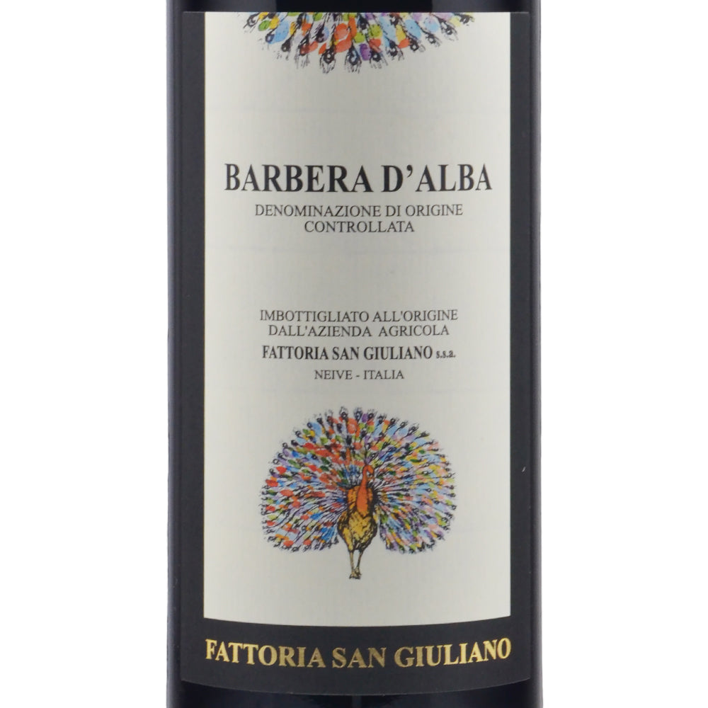 Fattoria San Giuliano Barbera d'Alba DOC